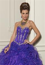 Bright Purple